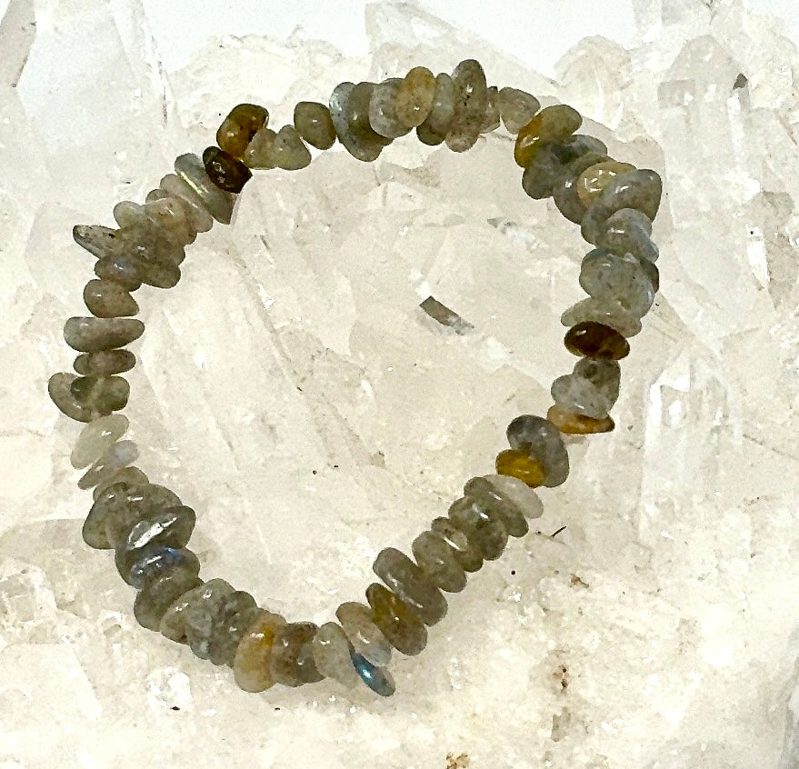 Chip Bracelet SPECIAL DEAL 7-Piece Bracelet Set