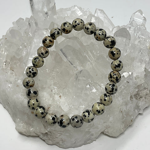 Dalmatian Jasper 8mm Round Bracelet