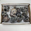 Black Tourmaline Quartz mineral rock set with 12 pieces, featuring polished black tourmaline and clear quartz stones from WorldWideMinerals-beads.