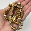 Picture Jasper Chip Bracelet - WorldWideMinerals-beads